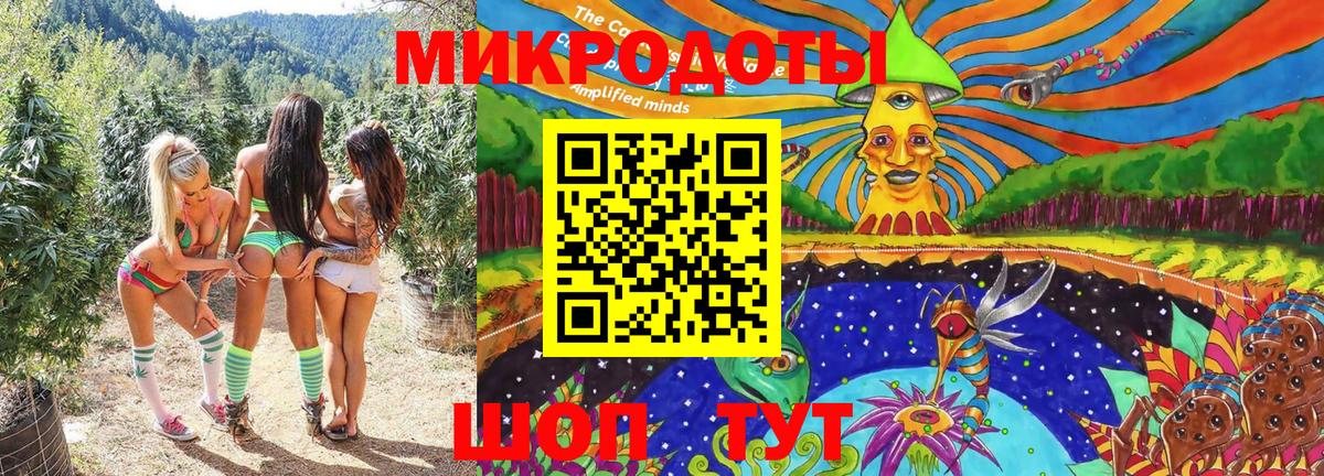 Псилоцибиновые грибы Magic Shrooms  Вход с VPN  купить  сайты  Куйбышев  Галлюциногенные грибы Psilocybe 